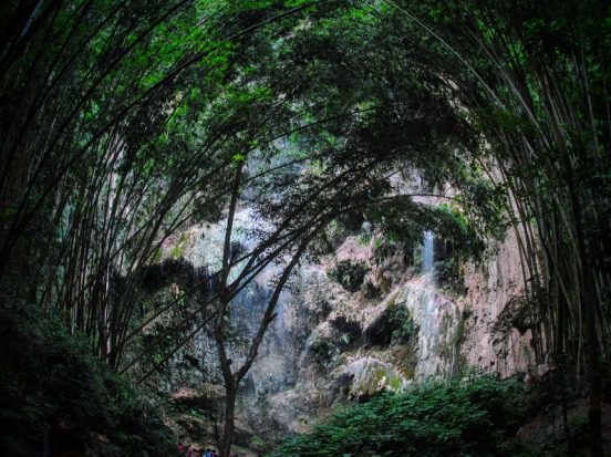 The breath taking view of Tumalog falls is guarded with bamboos like curtain in theaters. 